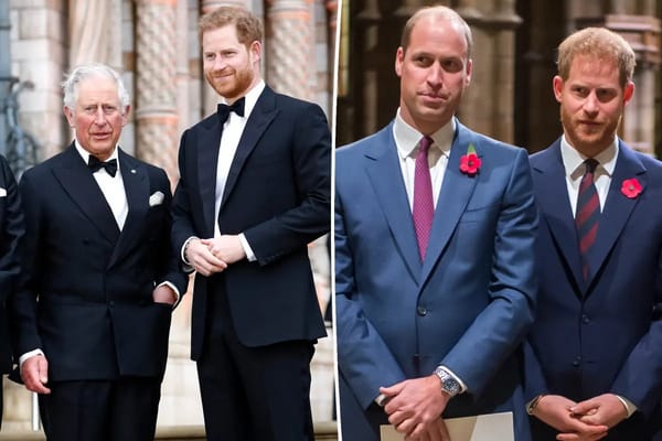 Harry's visit to King Charles unlikely to mend William rift — Pagesix