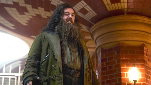 Nick Frost teases a different Hagrid in HBO reboot — Movieweb
