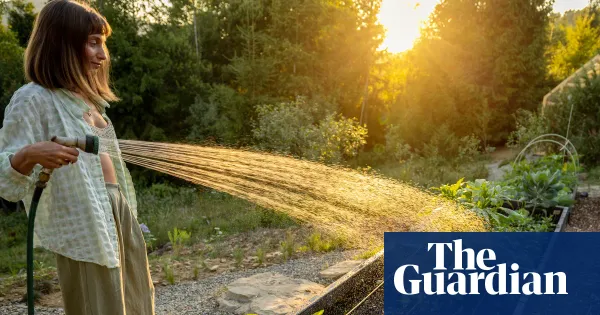 Lawns don’t need watering: how to garden in a heatwave — Lifestyle | The Guardian