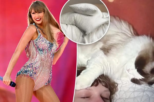 Taylor Swift's Eras Tour pillow is 20% off for Prime Day — Pagesix