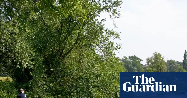 Art trails, swims and punt safaris near Cambridge South station — Lifestyle | The Guardian