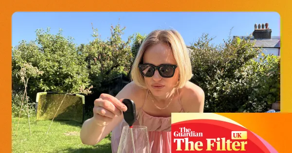 Tested: the best (and worst) wine coolers for picnics and garden dining — Lifestyle | The Guardian