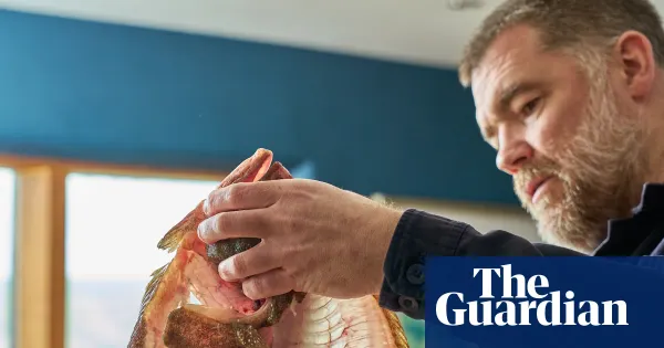 Good fish smells of the sea on a hot stone — Nathan Outlaw on fish — Lifestyle | The Guardian