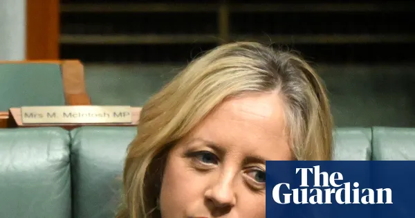 Liberal frontbencher proposes party ‘rebrand’ after polling fall — World news | The Guardian