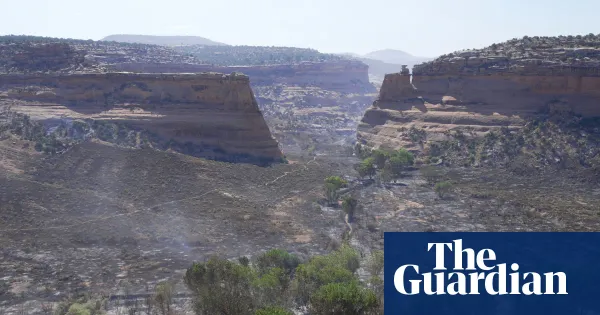 Weather tracker: North-west US hit by snow ahead of eastern heatwave — World news | The Guardian